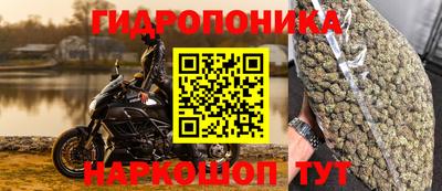 шишки Новозыбков