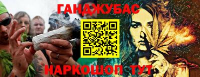шишки Новозыбков