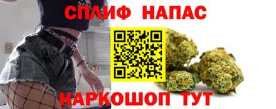 шишки Новозыбков