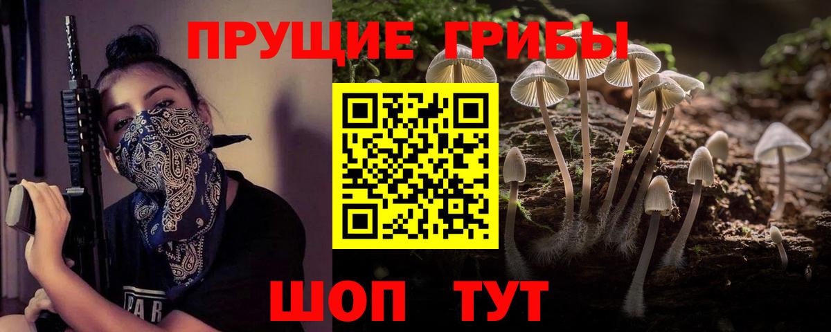Псилоцибиновые грибы Psilocybine cubensis  Вход с VPN  Сыктывкар  Галлюциногенные грибы Magic Shrooms 